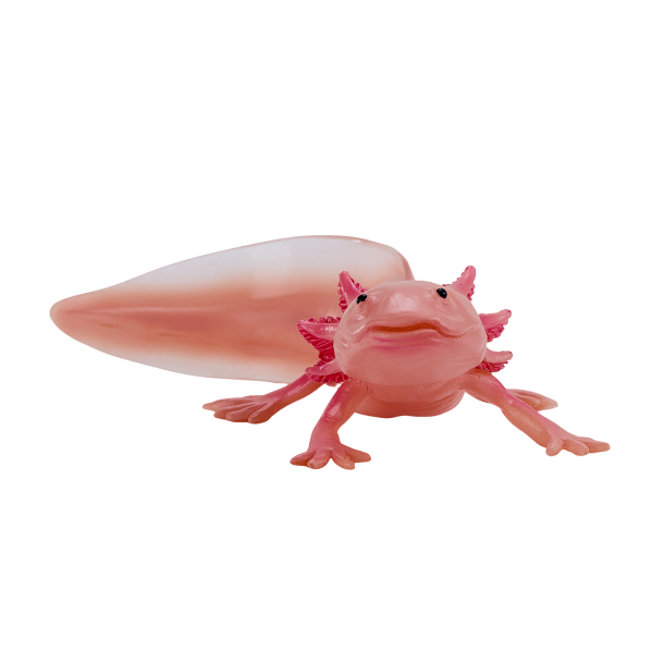 Mojo Axolotl Tail Toad