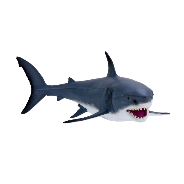 Mojo Great white shark