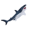 Mojo Great white shark