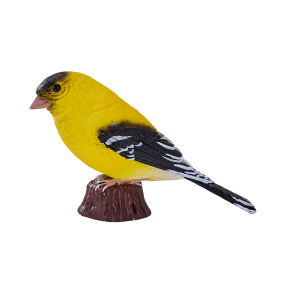 Mojo Amerikansk Stillits