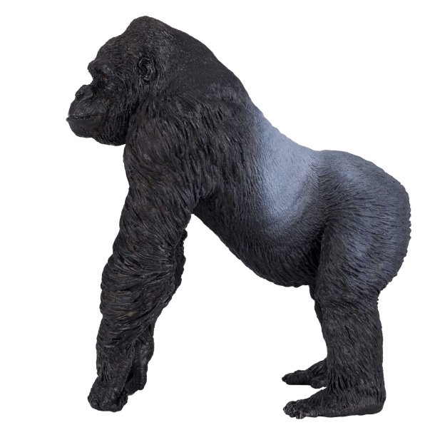 Mojo Gorilla Male Silverback
