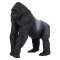 Mojo Gorilla Male Silverback