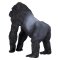Mojo Gorilla Male Silverback