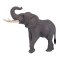 Mojo African Bull Elephant