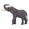 Mojo African Bull Elephant