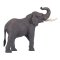 Mojo African Bull Elephant