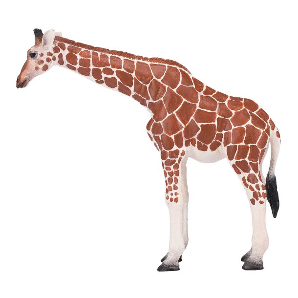 Mojo Giraffe Female