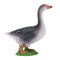 Mojo Goose Grey