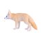 Mojo Fennec Fox