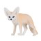Mojo Fennec Fox