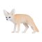 Mojo Fennec Fox
