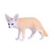 Mojo Fennec Fox