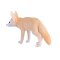 Mojo Fennec Fox