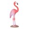 Mojo Amerikansk Flamingo