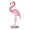 Mojo Amerikansk Flamingo