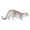Mojo Snow Leopard