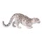 Mojo Snow Leopard