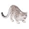 Mojo Snow Leopard