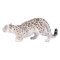 Mojo Snow Leopard