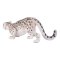 Mojo Snow Leopard
