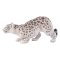 Mojo Snow Leopard