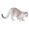Mojo Snow Leopard