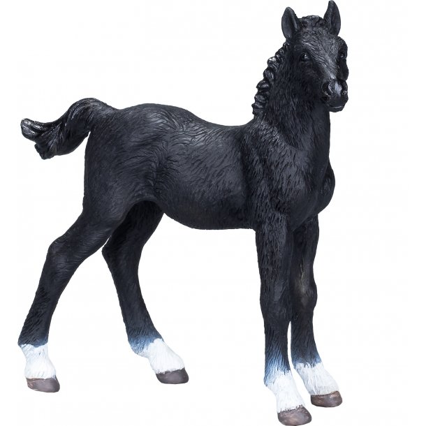 Mojo Hanoverian Foal, Black