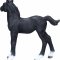 Mojo Hanoverian Foal, Black