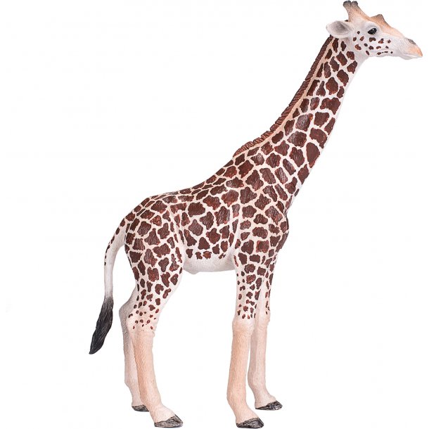 Mojo Giraffe Male