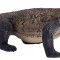 Mojo Komodovaran