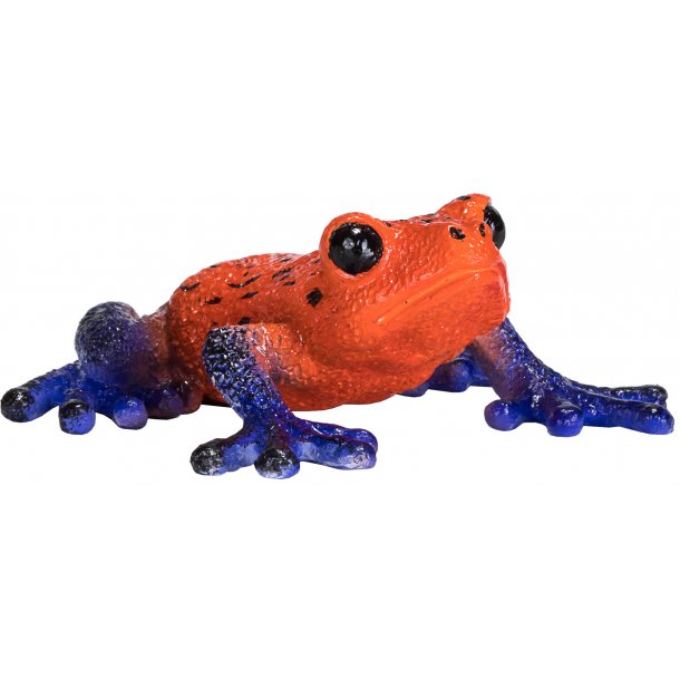 Mojo Poison dart frog