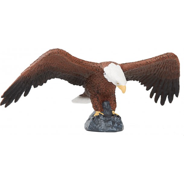 Mojo Amerikansk Skallet rn