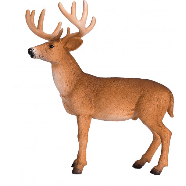 Mojo Red Deer