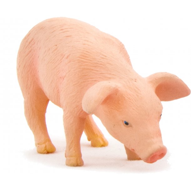 Mojo Eating Piglet
