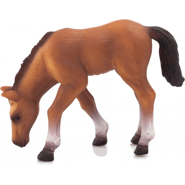 Mojo Araber, Fll som spiser