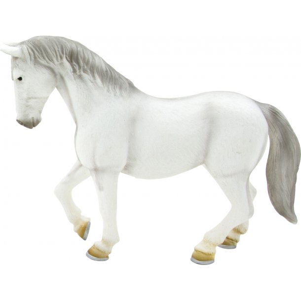 Mojo Lipizzaner Hst, Sto