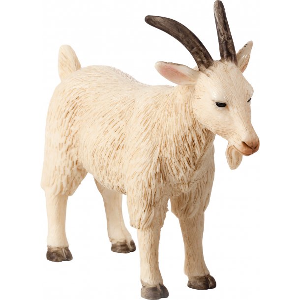 Mojo Goat, Billy