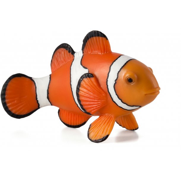 Mojo Clown Fish