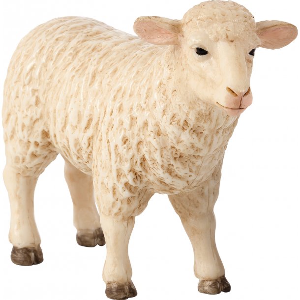 Mojo Mother Sheep