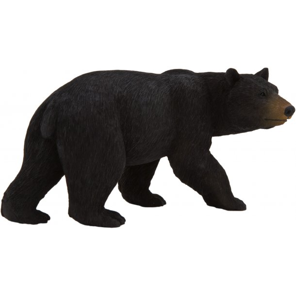 Mojo American Black Bear