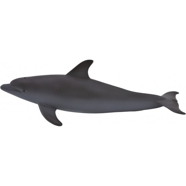 Mojo Flasknosdelfin