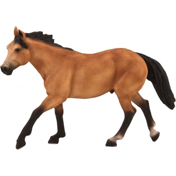 Mojo Buckskin Hest