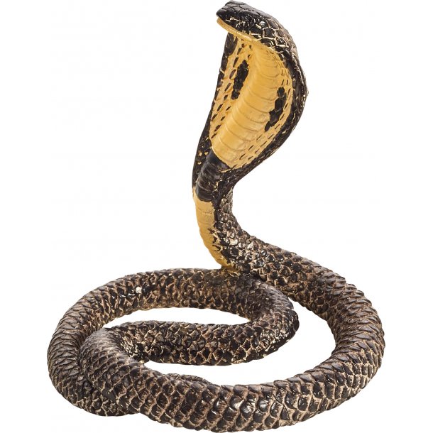 Mojo King Cobra