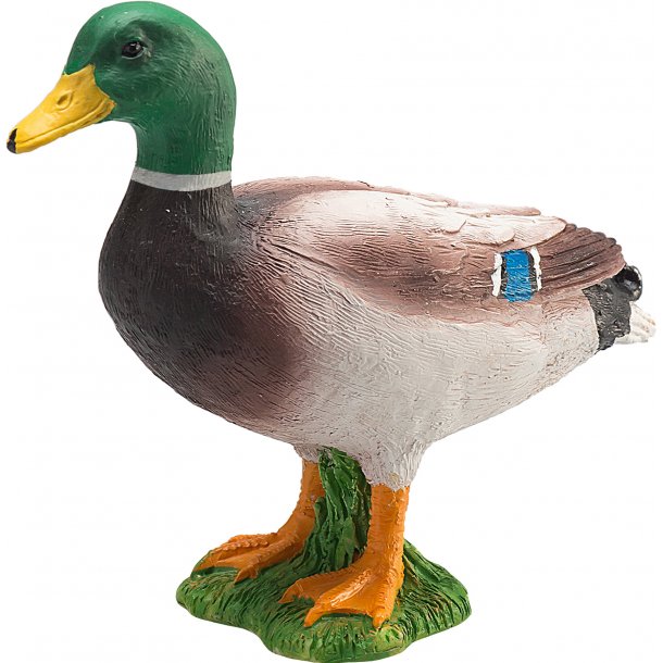 Mojo Duck