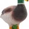 Mojo Duck