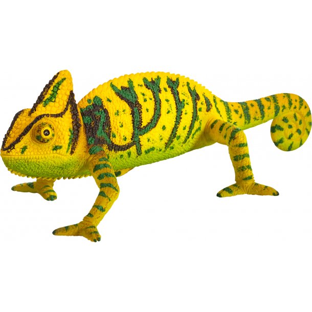 Mojo Kamelon