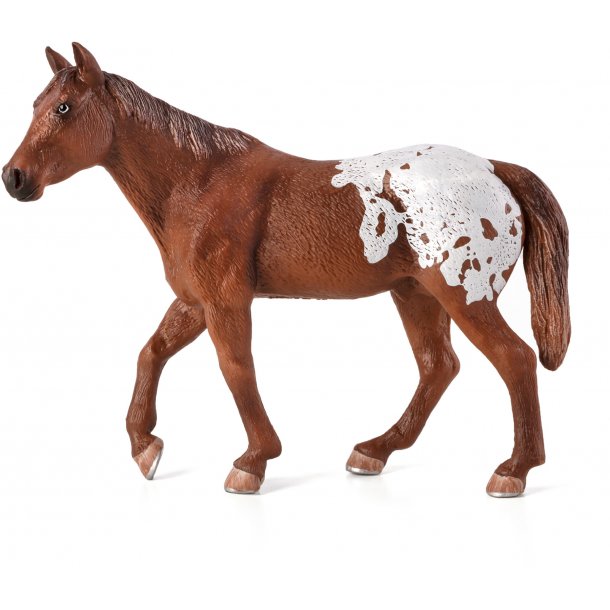 Mojo Appaloosa Stallion, Chestnut