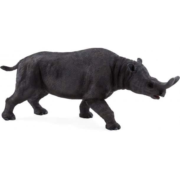 Mojo Brontotherium
