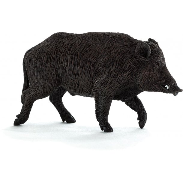 Mojo Wild boar