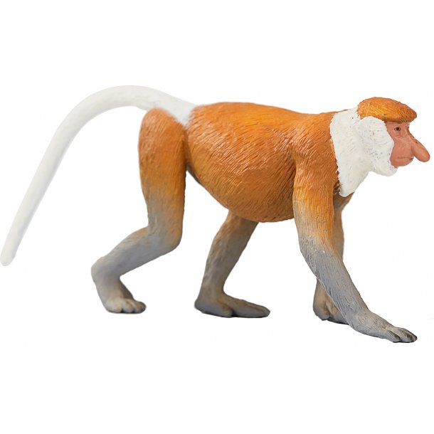 Mojo Proboscis Monkey